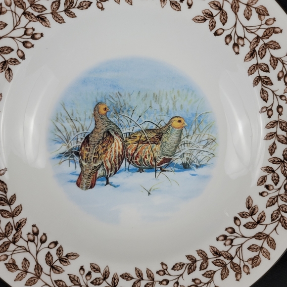 (2) WILD BIRDS Porcelain Soup Bowls - Picture 5 of 12